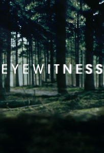 Очевидець / Eyewitness (2016)