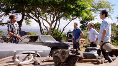 "Hawaii Five-0" 7 season 10-th episode