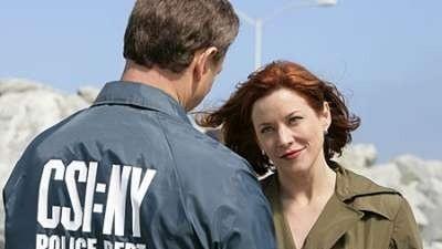 Серия 17, Место преступления Нью-Йорк / CSI: New York (2004)