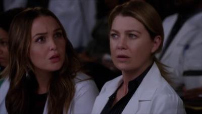 "Greys Anatomy" 14 season 20-th episode