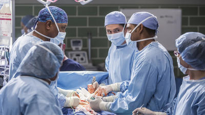 "Greys Anatomy" 12 season 13-th episode