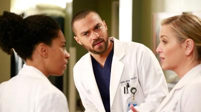 "Greys Anatomy" 13 season 12-th episode