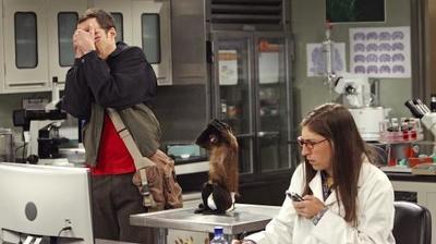 "The Big Bang Theory" 7 season 5-th episode