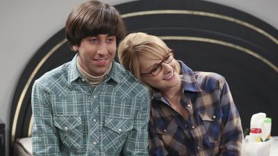 "The Big Bang Theory" 9 season 12-th episode