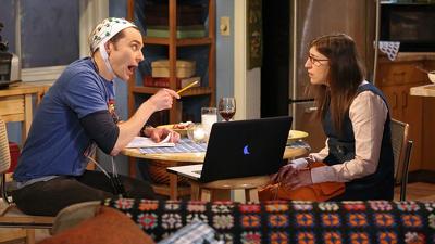 "The Big Bang Theory" 8 season 13-th episode