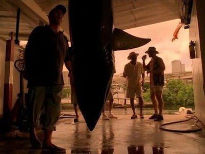 Episode 3, CSI: Miami (2002)