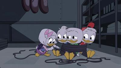 "DuckTales" 1 season 2-th episode