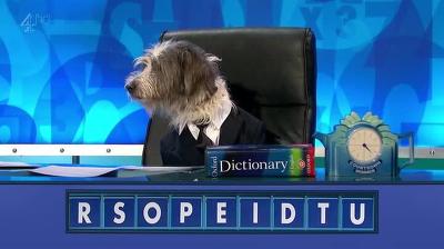 "8 Out of 10 Cats Does Countdown" 4 season 3-th episode