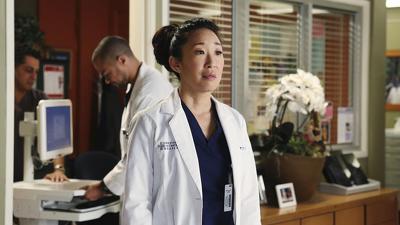 "Greys Anatomy" 10 season 17-th episode