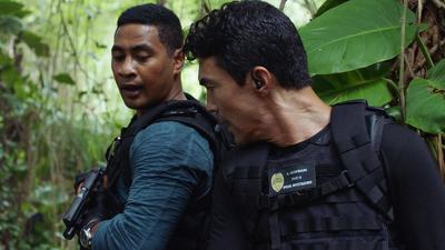 8 серія 10 сезону "Поліція Гаваїв"