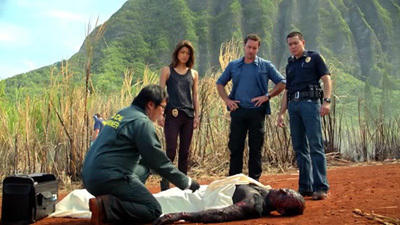 "Hawaii Five-0" 3 season 8-th episode