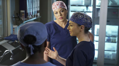 "Greys Anatomy" 11 season 24-th episode