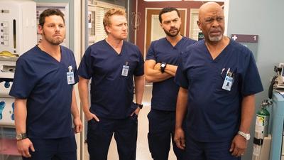 "Greys Anatomy" 15 season 14-th episode