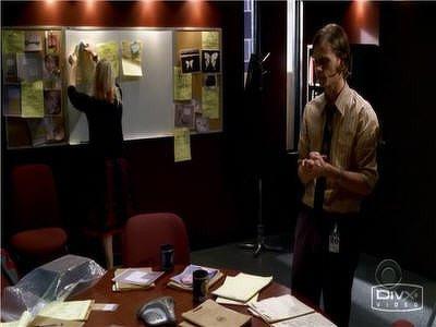 "Criminal Minds" 2 season 1-th episode