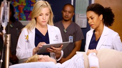 "Greys Anatomy" 13 season 11-th episode
