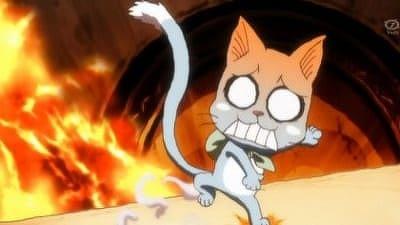 Episode 38, Fairy Tail (2009)
