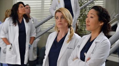 "Greys Anatomy" 10 season 14-th episode