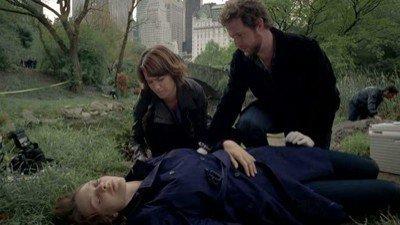 Место преступления Нью-Йорк / CSI: New York (2004), Серия 9