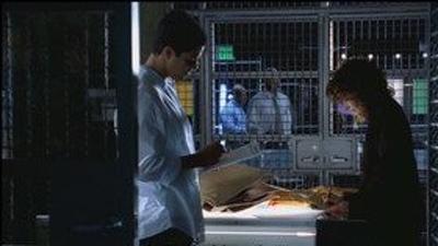 Серія 7, CSI: Маямі / CSI: Miami (2002)