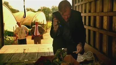Episode 5, CSI: Miami (2002)