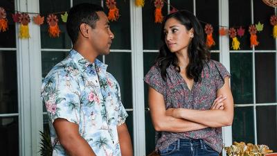 "Hawaii Five-0" 10 season 9-th episode