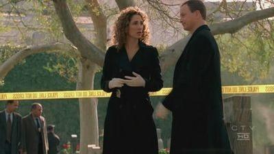 Серия 15, Место преступления Нью-Йорк / CSI: New York (2004)