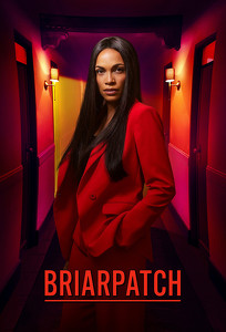 Briarpatch (2020)