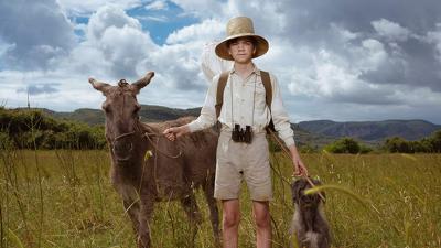 Серия 3, Дарреллы / The Durrells (2016)