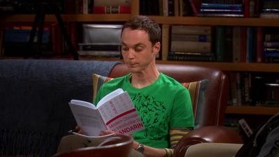 "The Big Bang Theory" 1 season 17-th episode