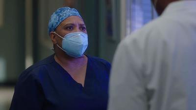 "Greys Anatomy" 17 season 1-th episode