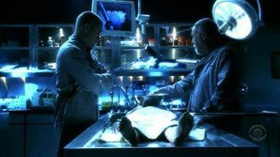 CSI (2000), Серія 6