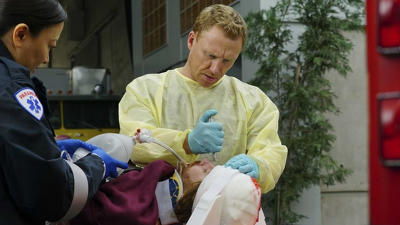 "Greys Anatomy" 13 season 15-th episode