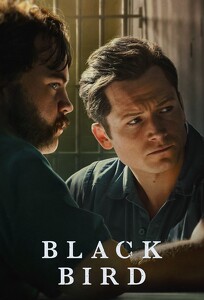 Чёрная птица / Black Bird (2022)