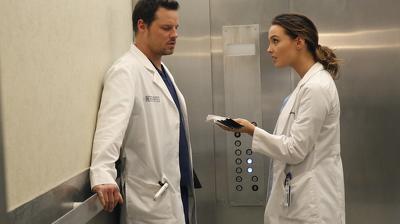 "Greys Anatomy" 10 season 18-th episode