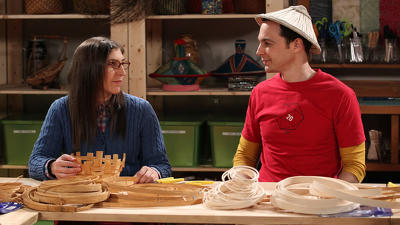 "The Big Bang Theory" 8 season 12-th episode