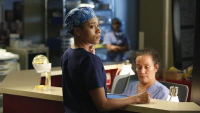 "Greys Anatomy" 11 season 11-th episode
