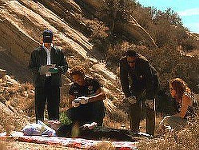 Серія 21, CSI (2000)