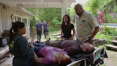 "Hawaii Five-0" 8 season 25-th episode