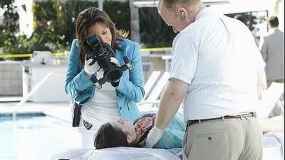 "CSI: Miami" 9 season 20-th episode