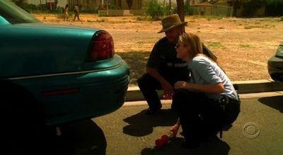 Серія 1, CSI (2000)
