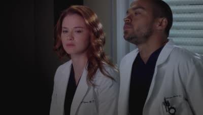 "Greys Anatomy" 9 season 19-th episode