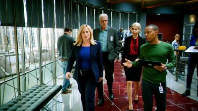 "CSI: Cyber" 2 season 10-th episode