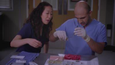 "Greys Anatomy" 9 season 20-th episode