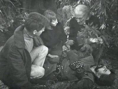 "Doctor Who 1963" 2 season 22-th episode