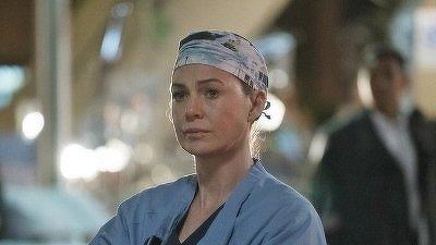 "Greys Anatomy" 13 season 24-th episode