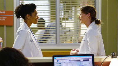 "Greys Anatomy" 11 season 12-th episode