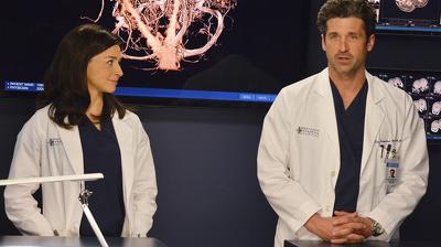 "Greys Anatomy" 10 season 22-th episode