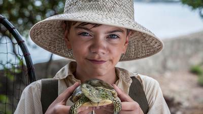 "The Durrells" 1 season 4-th episode