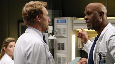"Greys Anatomy" 10 season 16-th episode