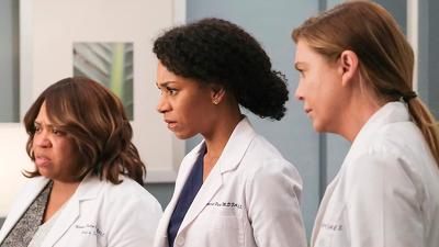 "Greys Anatomy" 17 season 10-th episode
